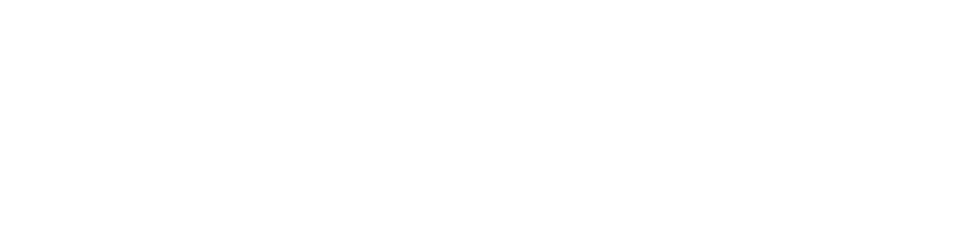 Zennovus Logo White